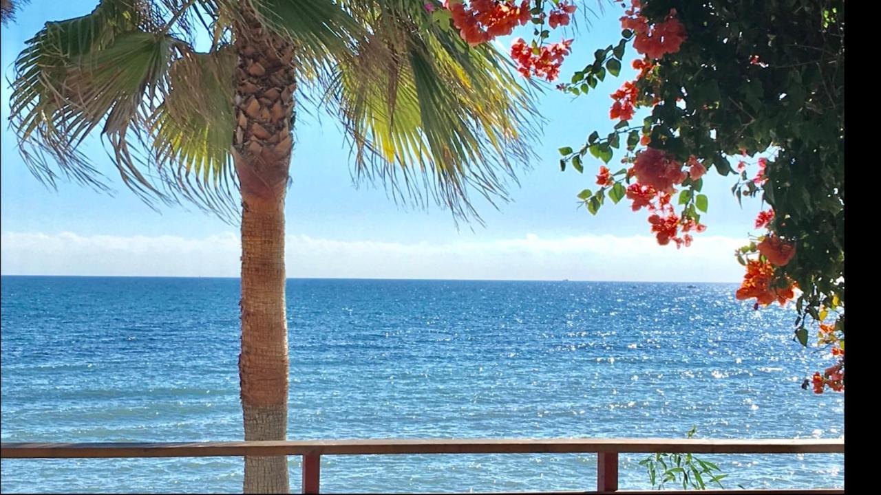 Mi Capricho 4C Beachfront -Apartment With Sea View - Costa Del Sol Sitio de Calahonda Екстериор снимка
